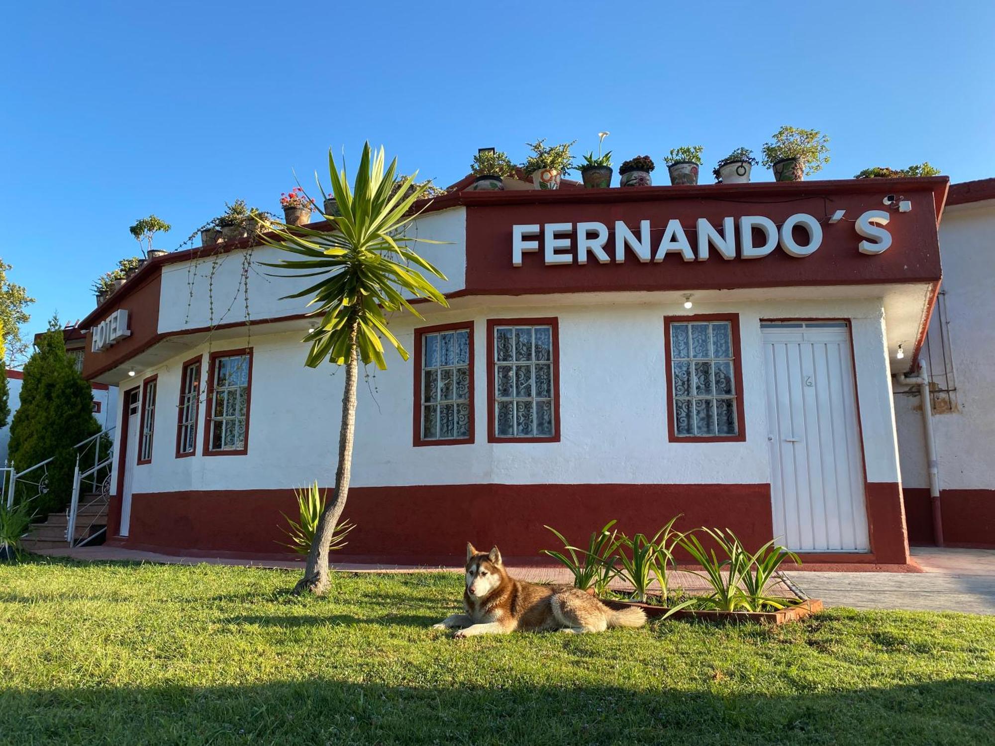 Hotel Fernando'S Tlalpujahua de Rayón エクステリア 写真